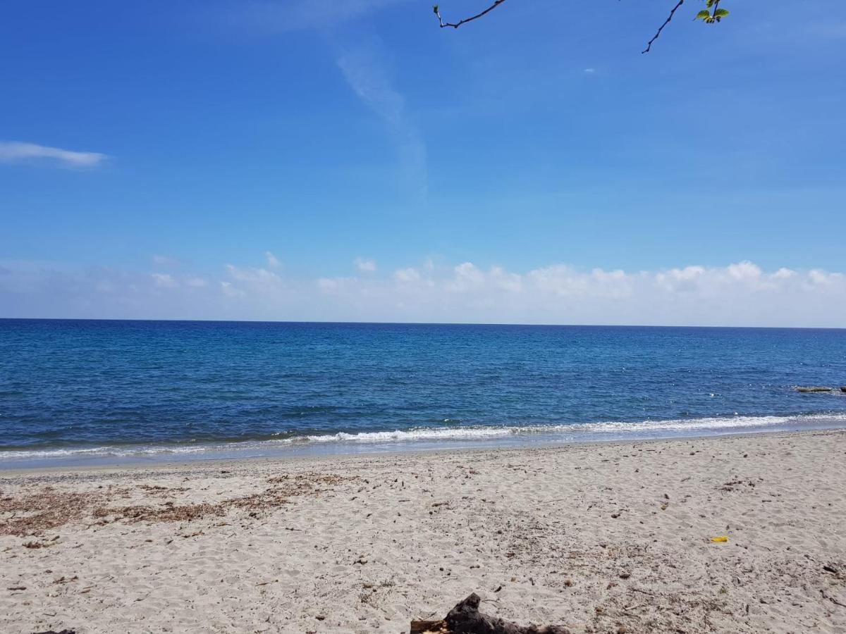 Maisons T2 Avec Jardins Privatifs - 10Mn De La Plage Et 5Mn Du Village - Casa Di I Trinelli Vescovato Buitenkant foto